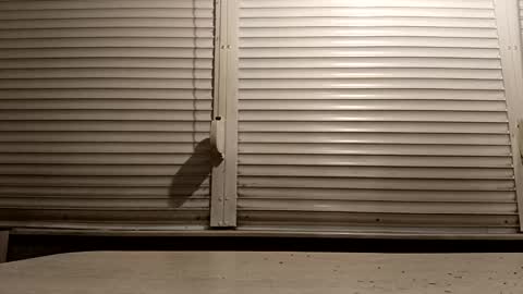 angel hris online show from 02/04/26, 05:08