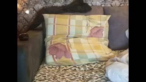 Pancamo online show from 01/01/25, 08:37