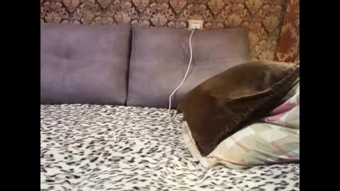 Pancamo online show from 01/05/25, 06:45