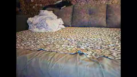 Pancamo online show from 01/18/26, 07:17