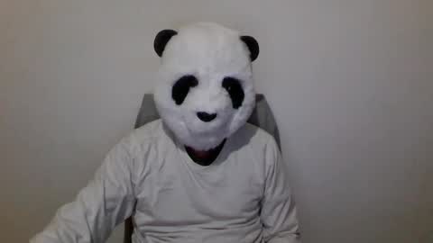 Snapshot of panda_feliz chatting on 12/06/24, 07:01 Panda online show from 12/06/24, 07:01