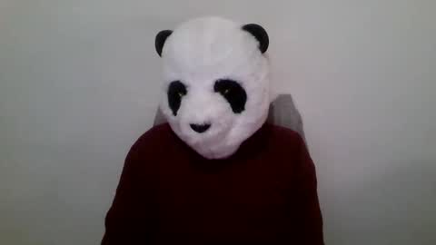 Snapshot of panda_feliz chatting on 01/23/25, 12:52 Panda online show from 01/23/25, 12:52