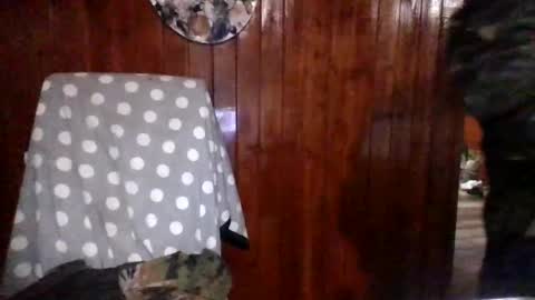 panditernurita12 online show from 03/14/26, 03:23