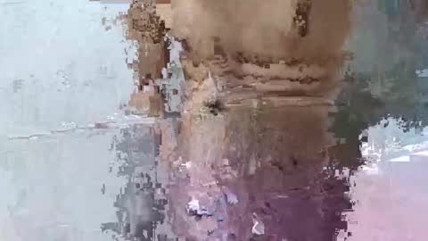 pankubig online show from 09/29/25, 09:25