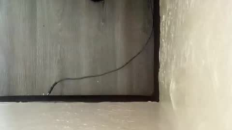 pantieplaytime52532 online show from 12/25/24, 05:16