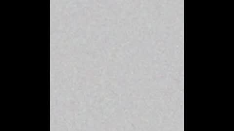 PantsLessTraveler online show from 12/31/24, 08:02