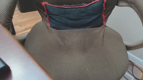 Snapshot of pantystroker chatting on 12/29/24, 04:16 PS PantyStroker online show from 12/29/24, 04:16