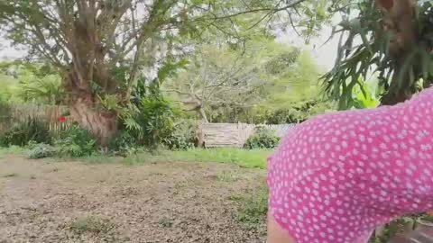 paoguerrax354 online show from 04/19/26, 06:10