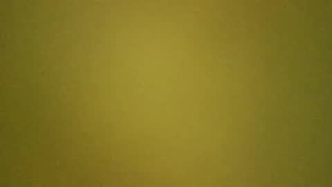 Snapshot of paolo365 chatting on 03/14/26, 10:53 LaRocca online show from 03/14/26, 10:53