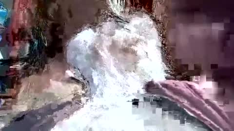 papajb70 online show from 01/20/25, 03:26