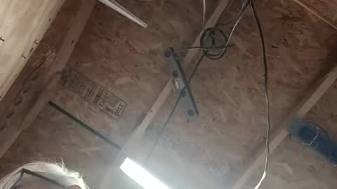 papajb70 online show from 02/24/25, 03:55