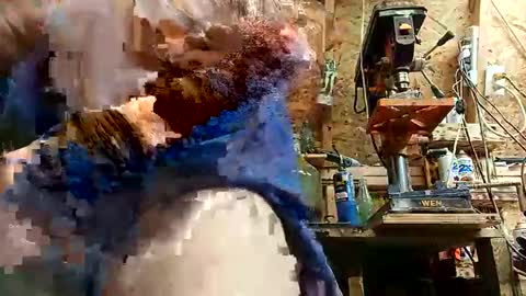 papajb70 online show from 09/10/25, 02:22