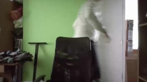 Papito online show from 03/11/25, 05:24