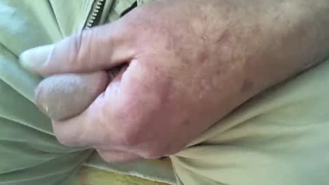 Shmoo online show from 12/20/25, 08:49