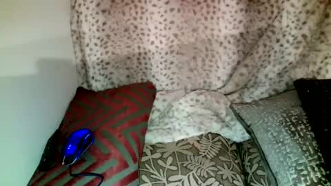 Parlay tellio online show from 12/28/24, 02:43