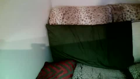 Parlay tellio online show from 01/05/25, 10:08