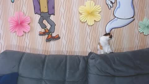 I am Lora and i am glad to see you in my room online show from 10/11/25, 03:50
