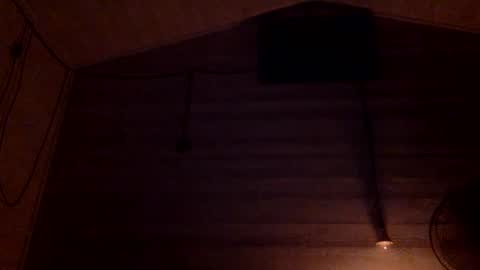 Pati24 online show from 01/05/25, 01:03