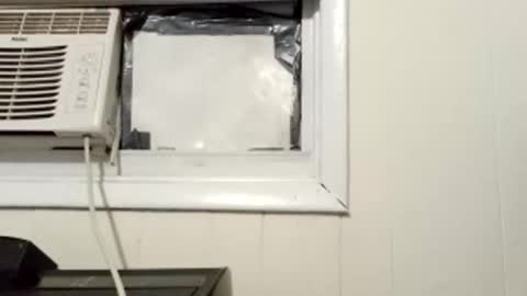 JD online show from 03/01/25, 10:13