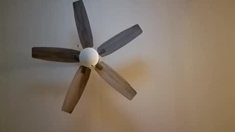 patrick247288 online show from 11/07/25, 06:13