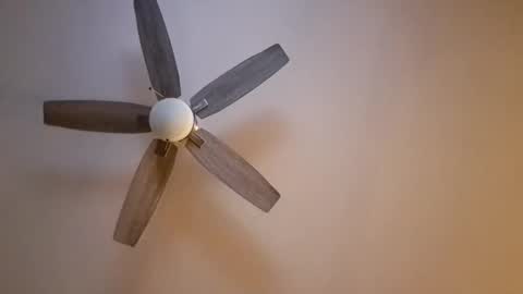 patrick247288 online show from 11/16/25, 06:30