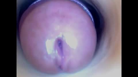 Paula 18 Aninhos online show from 02/08/25, 06:22