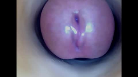 Paula 18 Aninhos online show from 02/12/25, 05:15