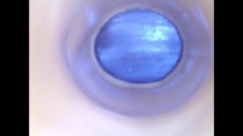 Paula 18 Aninhos online show from 12/02/25, 02:28