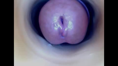 Paula 18 Aninhos online show from 02/17/26, 04:35