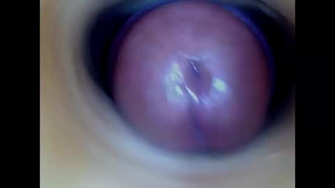 Paula 18 Aninhos online show from 03/01/26, 06:37