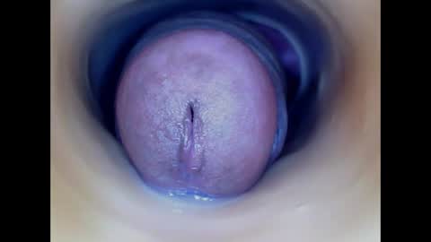 Paula 18 Aninhos online show from 03/24/26, 05:18