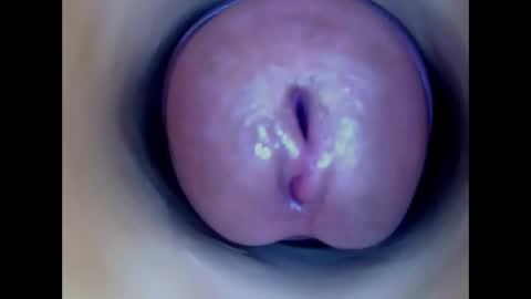 Snapshot of paulainoscente chatting on 05/17/26, 02:35 Paula 18 Aninhos online show from 05/17/26, 02:35