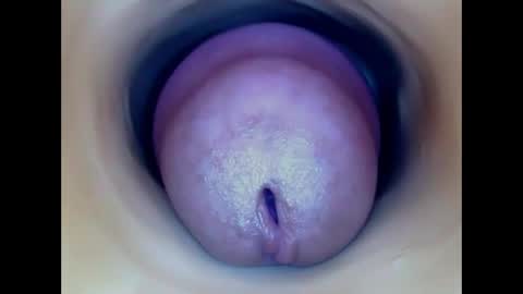 Snapshot of paulainoscente chatting on 05/20/26, 03:13 Paula 18 Aninhos online show from 05/20/26, 03:13