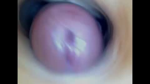 Snapshot of paulainoscente chatting on 07/07/26, 01:59 Paula 18 Aninhos online show from 07/07/26, 01:59