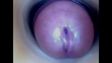 Snapshot of paulainoscente chatting on 07/08/26, 02:05 Paula 18 Aninhos online show from 07/08/26, 02:05
