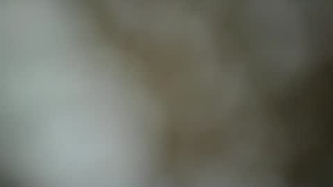 Snapshot of paulasmithph chatting on 11/17/25, 06:46 paulasmithph online show from 11/17/25, 06:46