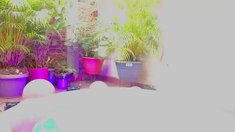 Paulina  online show from 06/19/26, 07:39