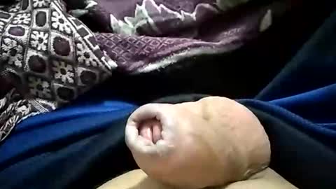 carlosjdo online show from 10/29/25, 03:09