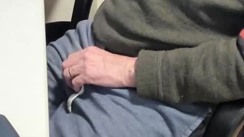 Paul online show from 02/10/25, 06:45