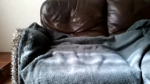 paurlien online show from 03/21/26, 11:04