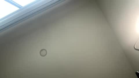 Suscribe to onlyfans   online show from 03/06/26, 03:41