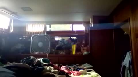 Pavone splash online show from 01/09/26, 08:21