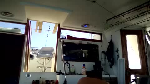 Pavone splash online show from 01/10/26, 03:58