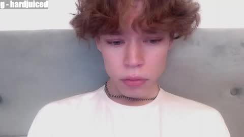 pawclaw online show from 04/07/26, 12:22