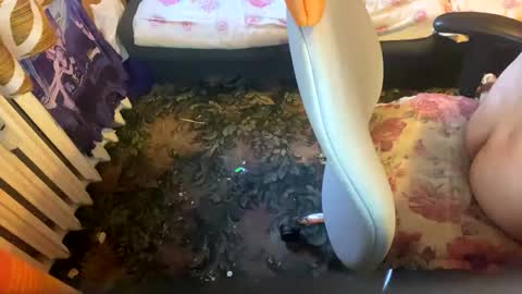 pawelmajster3 online show from 10/18/25, 03:35