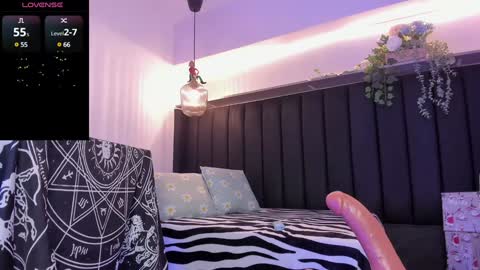 Dani online show from 12/17/24, 08:54