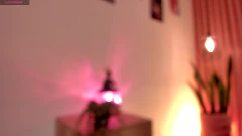 Snapshot of pawggirl18 chatting on 06/02/26, 01:35 Dani online show from 06/02/26, 01:35