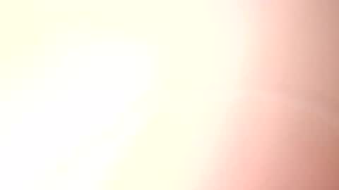 Paw online show from 02/12/25, 05:58