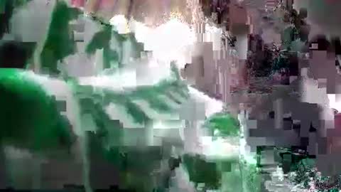 Snapshot of pay2playangel12 chatting on 12/24/24, 06:22 Coco channel online show from 12/24/24, 06:22