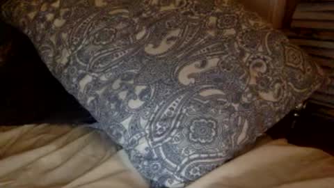 Snapshot of pea23 chatting on 02/27/26, 11:38 pea23 online show from 02/27/26, 11:38